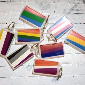 Peut inclure: Plusieurs porte-clés rectangulaires avec différents drapeaux de la fierté LGBTQ+. Les porte-clés ont des boîtiers en plastique transparent et des anneaux argentés. Les drapeaux présentent un éventail de couleurs, dont arc-en-ciel, rose, bleu, jaune et violet.
