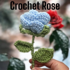 Crochet Rose