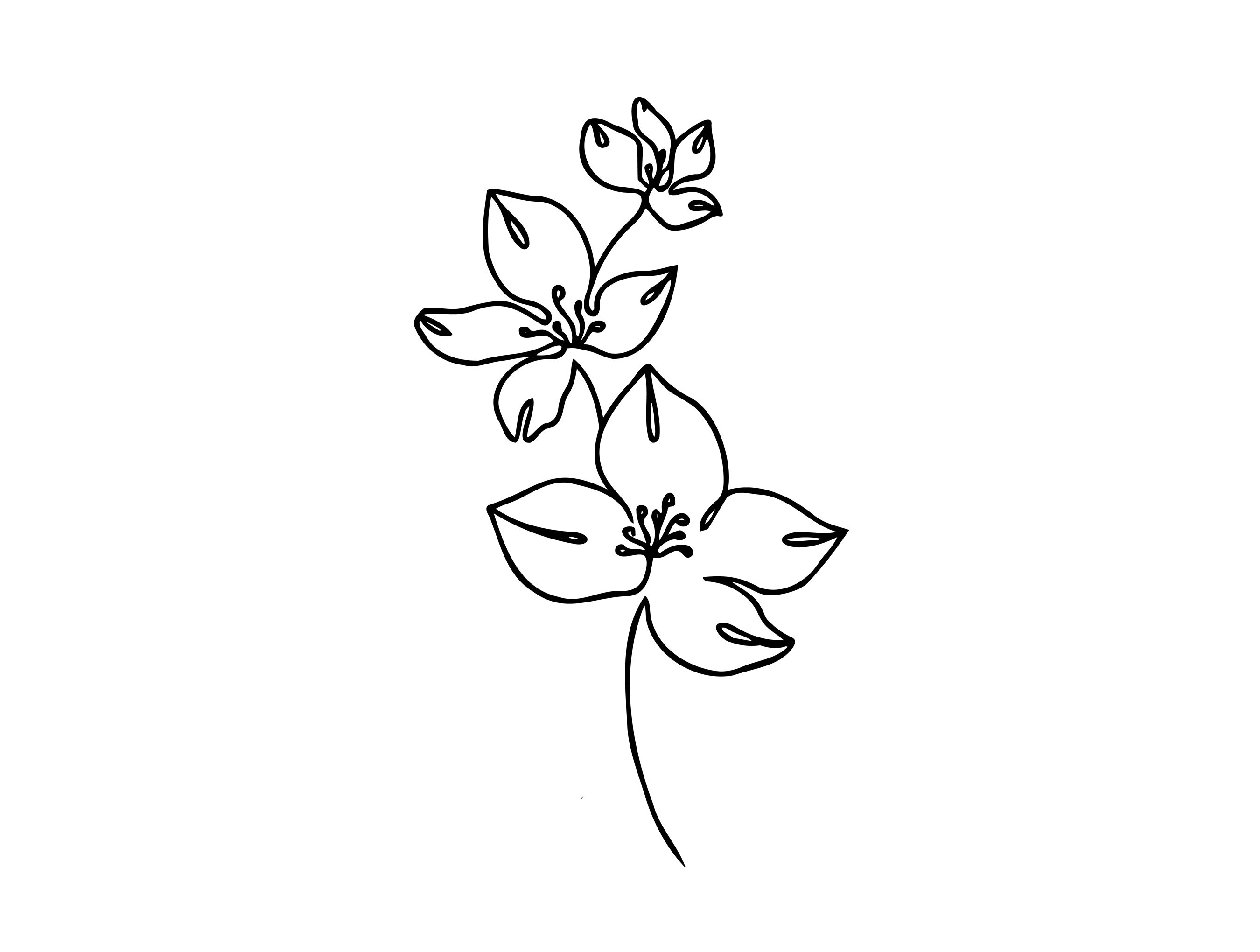 Minimalist Flower Temporary Tattoo Bundle – Simply Inked