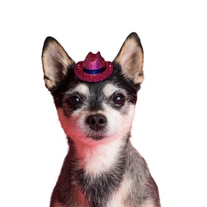 Pink Cowboy Hat for Dogs and Cats Free Shipping
