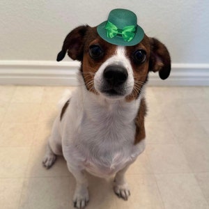 Mini Irish Pet Hat FREE SHIPPING