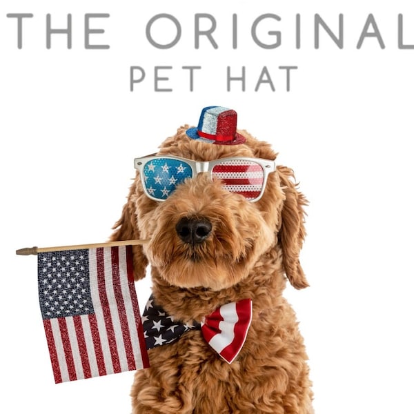 Fourth Of July Pet Hat Free Shipping