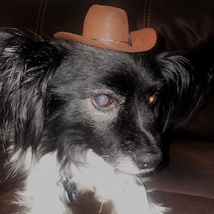 Brown Cowboy Dog Cat Hat Free Shipping