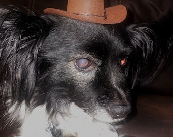 Brown Cowboy Dog Cat Hat Free Shipping