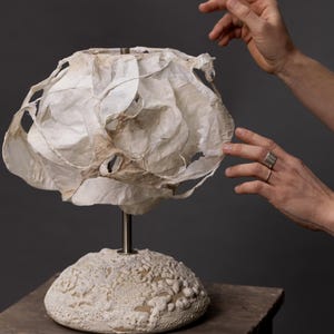 Unique Designer Art Lamp – Handmade Table Light for Collectors, Artists, or Statement Home Decor Pieces