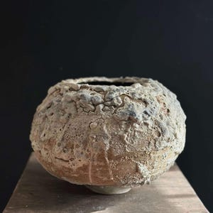 Organic Ceramic Vase: Sculptural Wabi-Sabi Pottery, Rustic Modern Decor