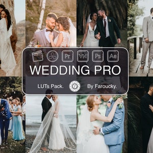 10 PRO WEDDING LUTs Pack, Adobe Premiere Pro LUTs Pack, Video Editing Luts Final Cut Pro, Video Presets for DaVinci Resolve Vlog