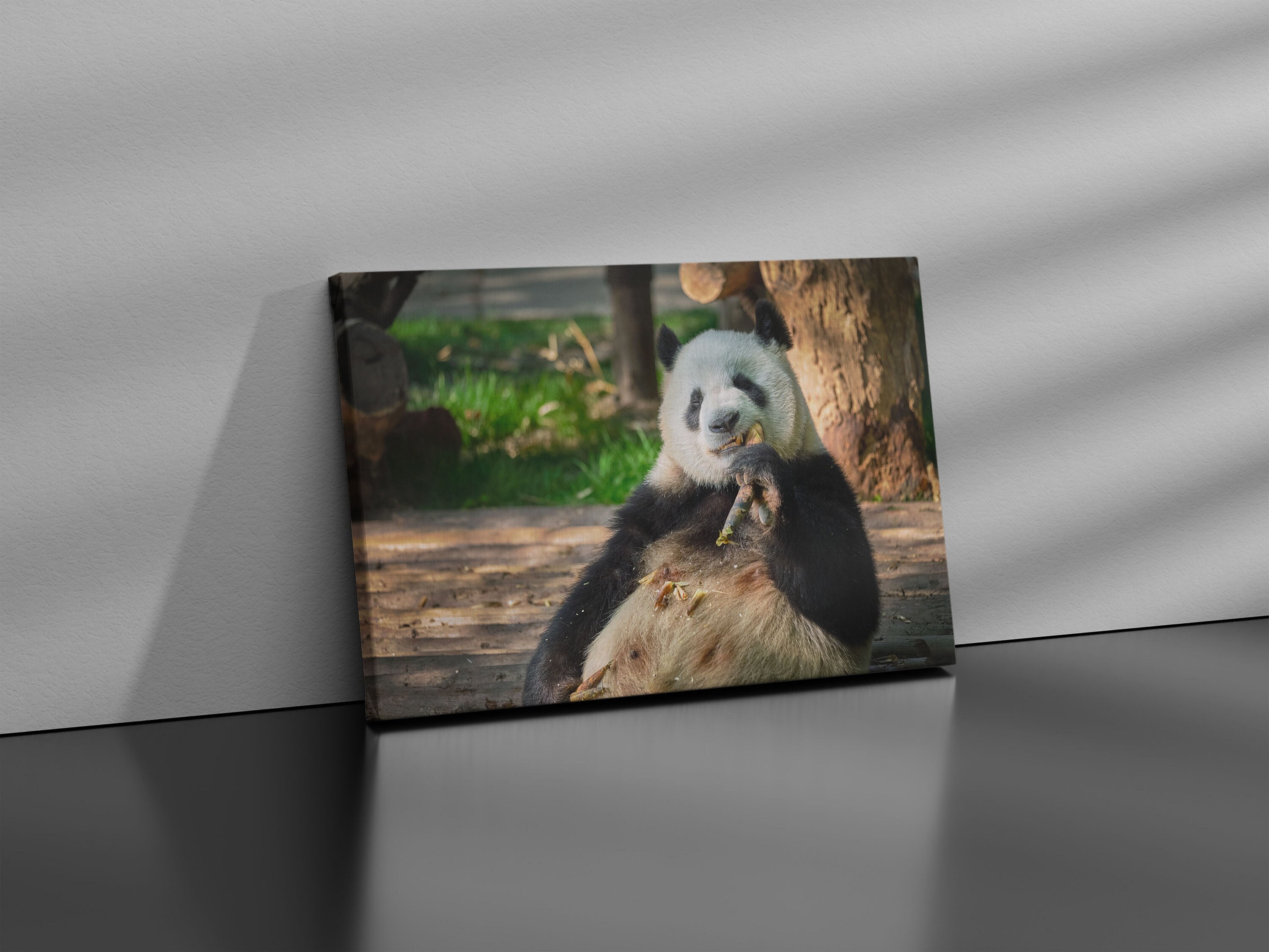 Zoo Atlanta Panda Rolls Enamel Pin Set
