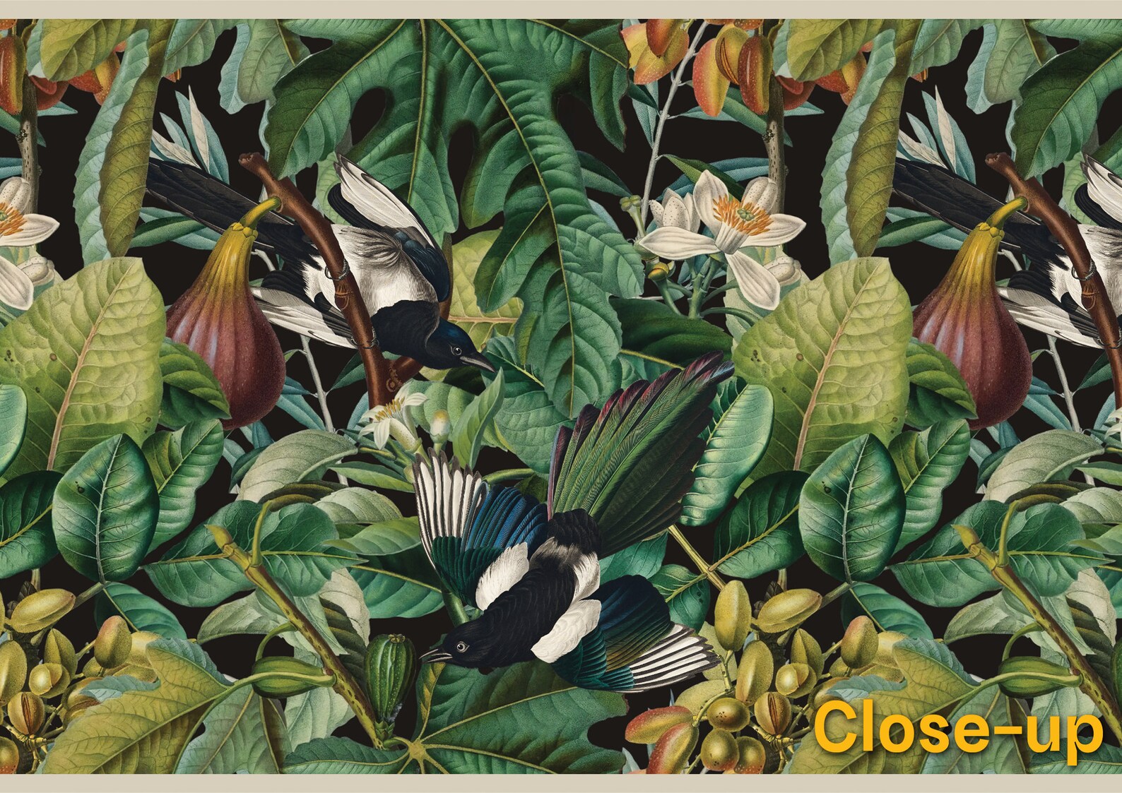 Tropical Jungle Wallpaper Border, Modern Botanical Garden Wall
