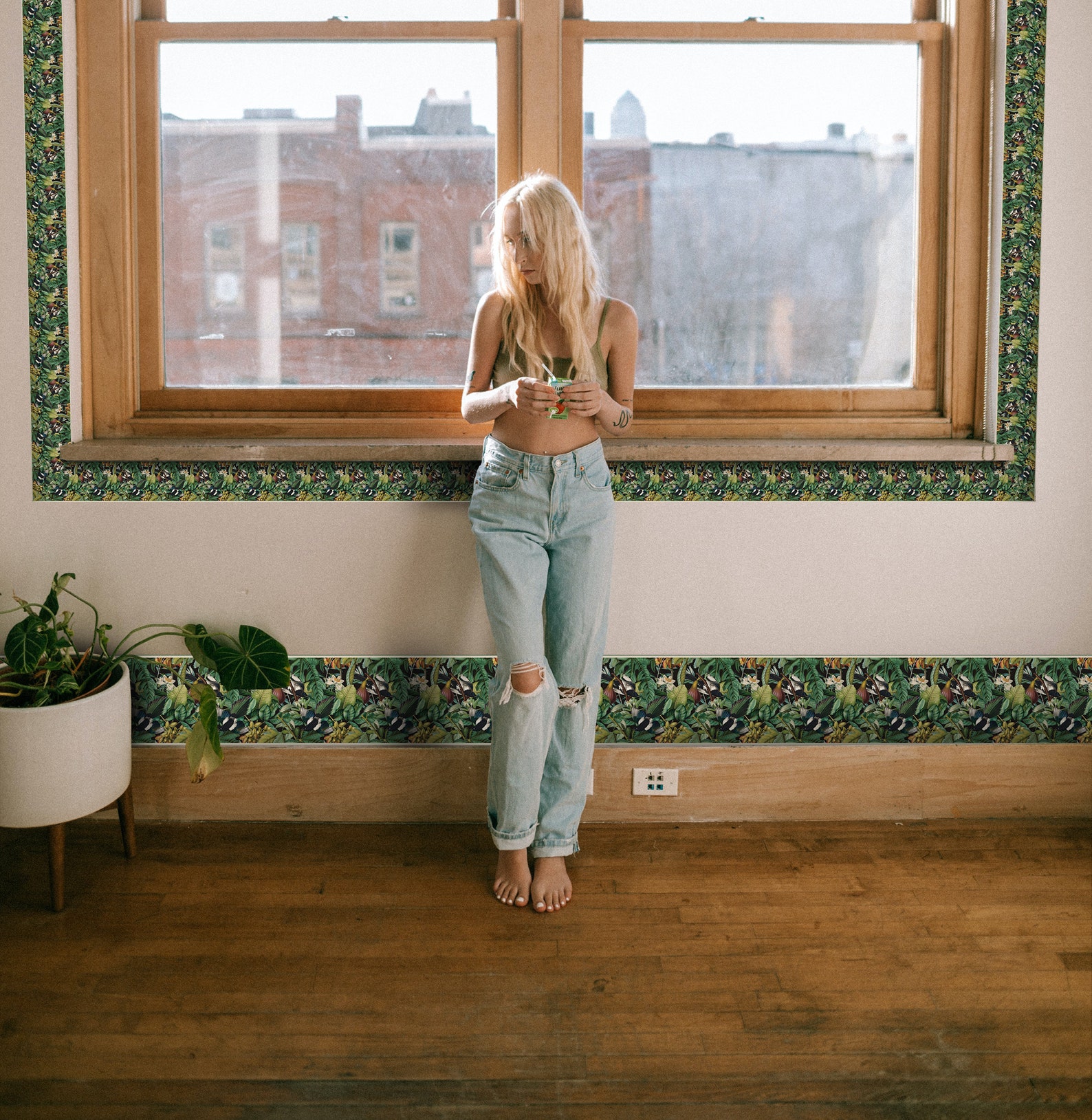 Tropical Jungle Wallpaper Border, Modern Botanical Garden Wall