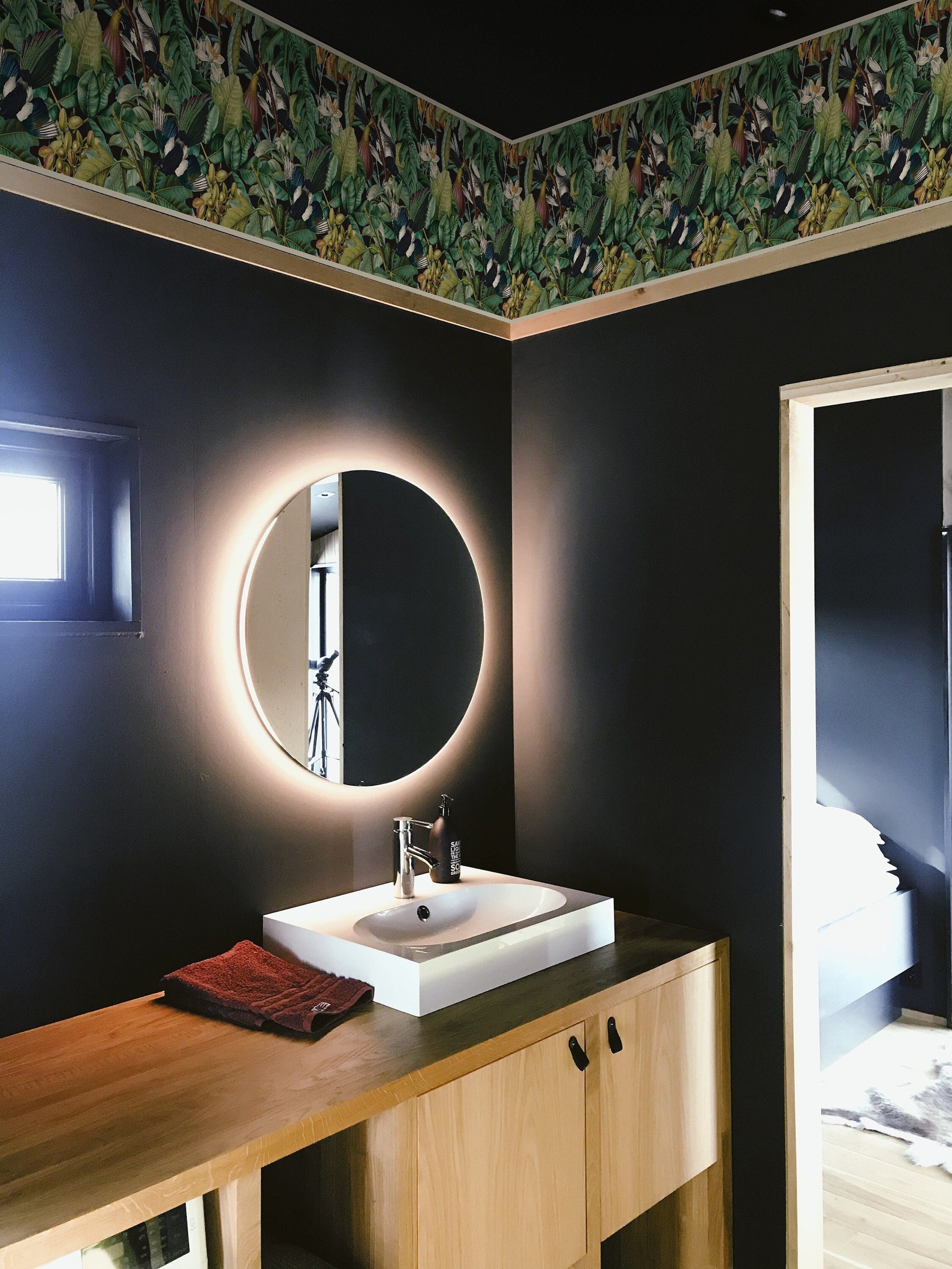 Tropical Jungle Wallpaper Border, Modern Botanical Garden Wall