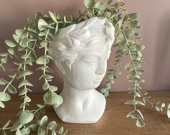 Large Venus goddess Face Head Plant Pot planter Statue Vase Nordic Resin Planter