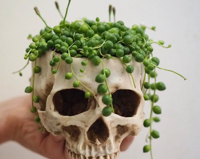 Gothic handmade home decor skull human sized planter plant pot