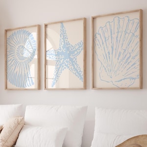 Könnte beinhalten: Drei gerahmte Wandkunstdrucke mit hellblauen Muschel-, Seestern- und Muschelmotiven auf cremefarbenem Hintergrund. Die Drucke sind in Holzrahmen. Der Raum umfasst auch ein weißes Sofa, Kissen und einen Strohhut.