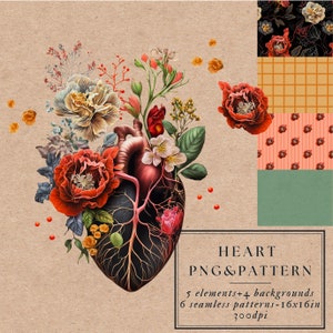Corazón anatómico con flores PNG Imagen de corazón humano para amantes de las flores Ilustración gráfica y patrón de corazón, Descarga digital, N.º Z004z