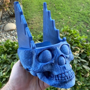 Skull Knife and Blade Display