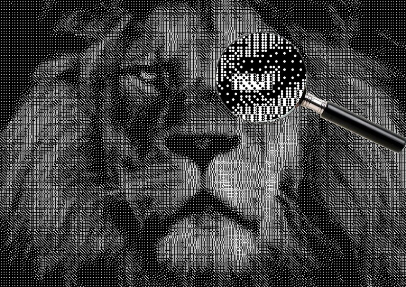 Custom Dice Art Mosaic From Photo or Drawing Personalised Wall Art Mosaic Made From Dice Etsy