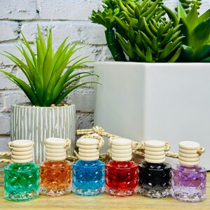May include: Six small, colorful glass bottles with wooden caps and hanging cords. The bottles contain green, orange, blue, red, black, and purple liquids. The bottles are arranged in a row on a wooden surface, with decorative plants in the background.