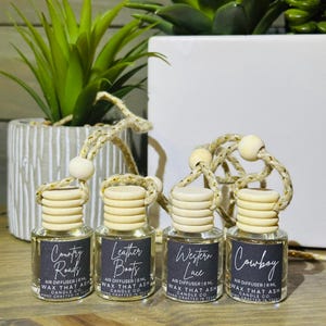 Scented Car Air Freshener: Hanging Diffuser