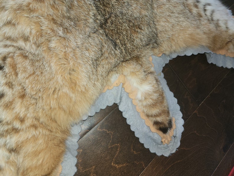 Bobcat Rug Etsy