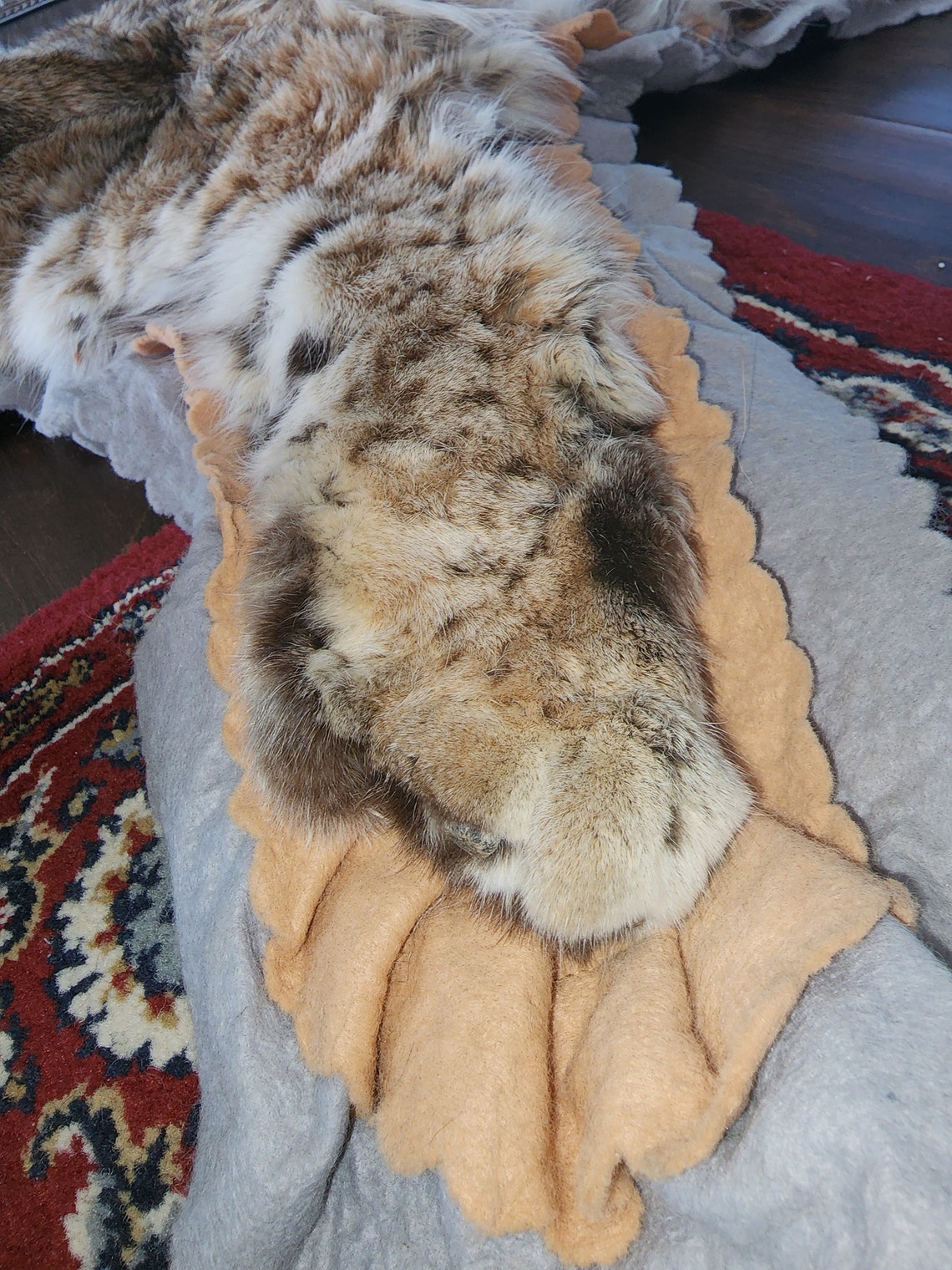 Bobcat Rug Etsy