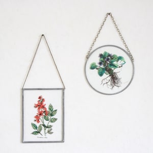 Op de afbeelding: Twee botanische kunstprints. Eén is rechthoekig met een rode bloem en groene bladeren. De andere is rond met een plantillustratie. Beide zijn ingelijst in zilver metaal en opgehangen aan kettingen.