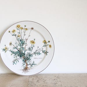 Vintage Villeroy and Boch Botanica dinner plate / large plate 27 cm