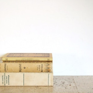 Three vintage naturel Dutch hardcover books, decorative pieces