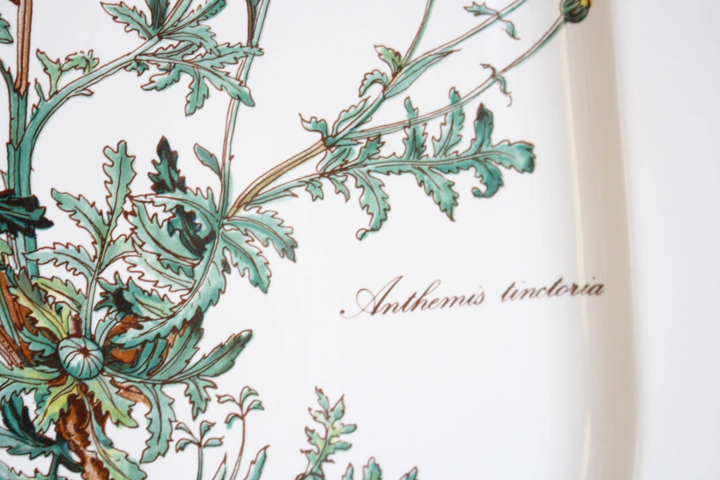 ヴィンテージ ビレロイ＆ボッホ ボタニカ オーバルプレート