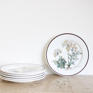 Vintage Villeroy and Boch Botanica cake plate / bread & butter plate 17 cm