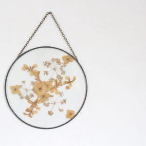 Op de afbeelding: Ronde wanddecoratie met gedroogde, bruinachtige bloemen op een witte achtergrond. Het zwarte frame wordt opgehangen door een ketting. Het kunstwerk wordt op een witte muur getoond.