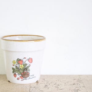 Peut inclure: Un pot de fleurs en céramique blanche avec une finition mouchetée et un bord marron. L'avant présente une illustration colorée d'un panier en osier rempli de fraises rouges, de feuilles vertes et de fleurs jaunes, avec le texte "wild strawberry".