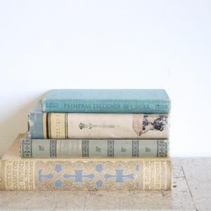 Four vintage naturel & blue Dutch + Spanish hardcover books, decorative pieces