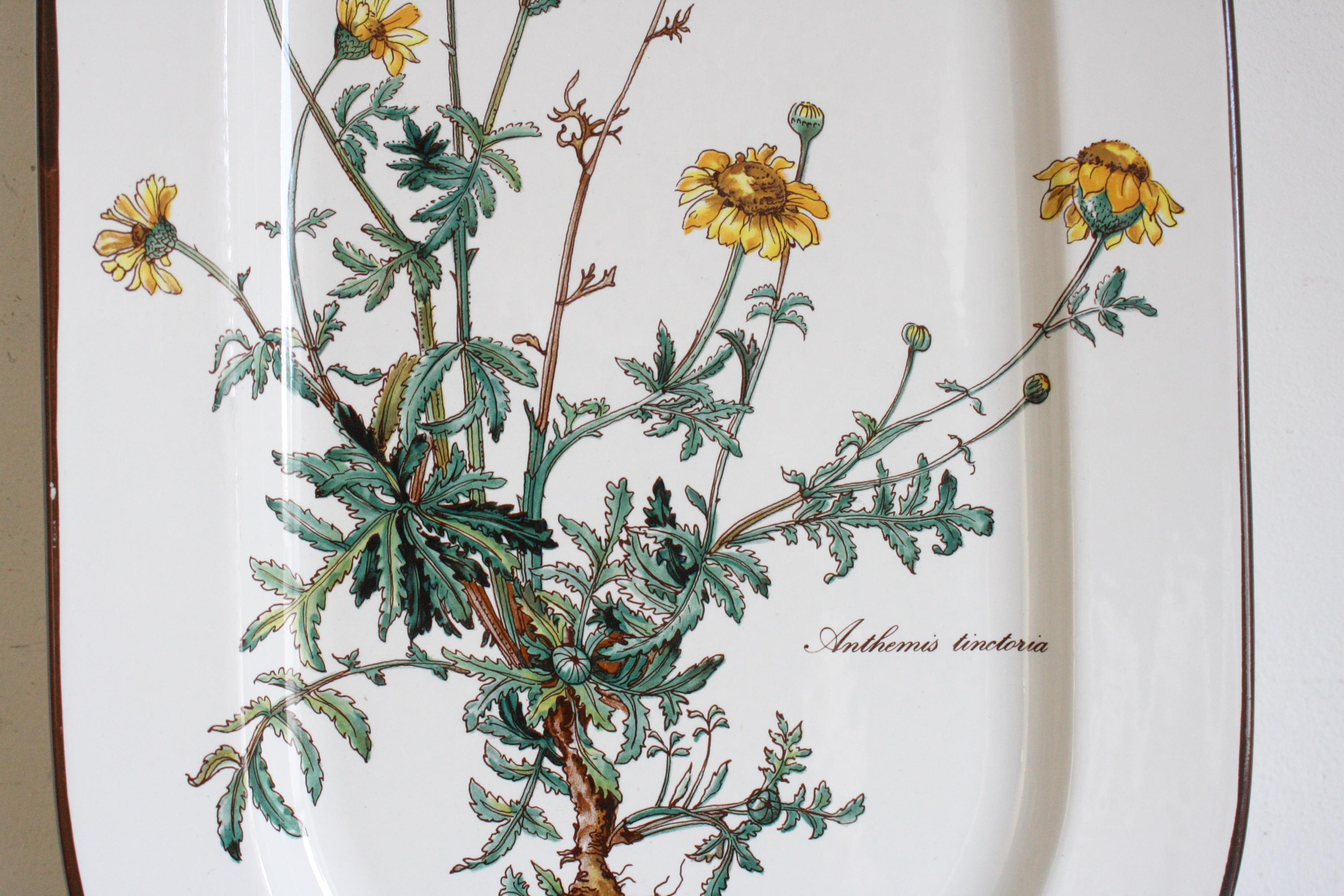 ヴィンテージ ビレロイ＆ボッホ ボタニカ オーバルプレート