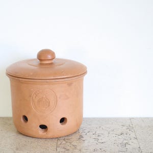 Può includere: Un contenitore per l'aglio in terracotta con coperchio e pomello sulla parte superiore. Il contenitore cilindrico ha un emblema circolare con un disegno a bulbo d'aglio e diversi fori di ventilazione. Il contenitore è su una superficie di pietra.