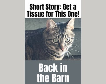 Cat Short Story | Back in the Barn - A Touching Short Story for Cat Lovers | Cat Books | Cat Stories | Cat Short Stories | Cats | Cat eBooks