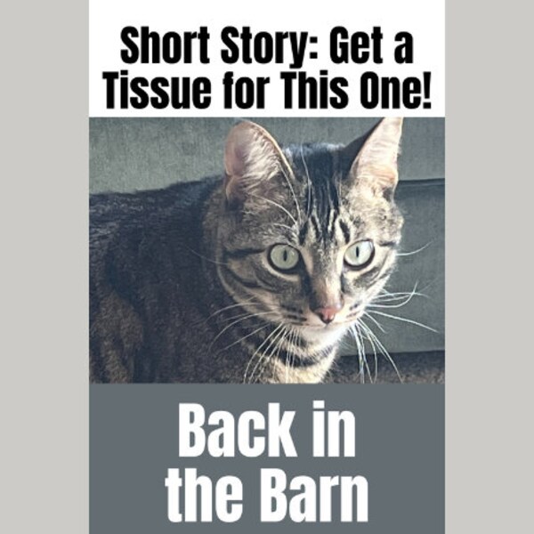 Short Story on Back Etsy