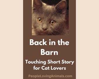 Back in the Barn - A Touching Short Story for Cat Lovers | Cat Books | Cat Stories | Cat Short Stories | Cat Care | Cats | Cat eBooks