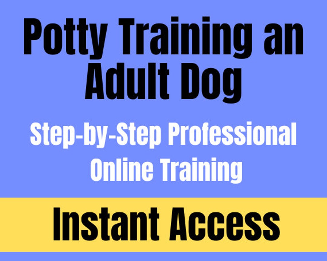 House Training an Adult Dog Potty Training Adult Dogs Potty Training