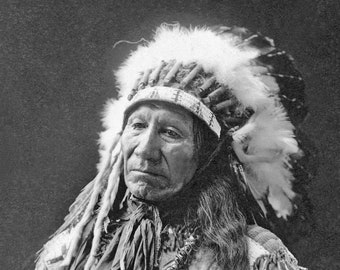 1898 CHIEF AMERICAN HORSE Glossy 8x10 or 11x14 Photo Print Native American Poster