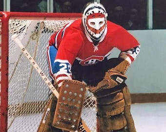 Hall of Famer KEN DRYDEN Glossy 8x10 or 11x14 Photo Montreal Canadiens Print Hockey Poster HOF 83