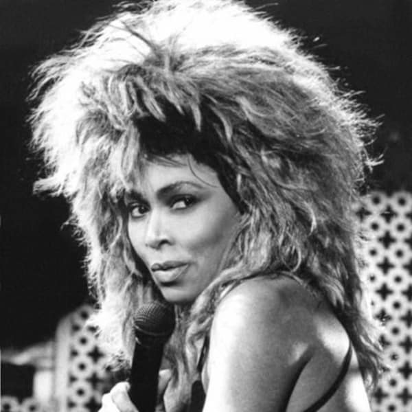 Famous Rock Singer TINA TURNER Glossy 8x10 or 11x14 Photo Print Hollywood Celebrity Poster