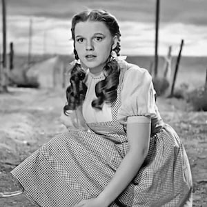 Famous Celebrity JUDY GARLAND Glossy 8x10 or 11x14 Photo Dorothy Print The Wizard of Oz Poster