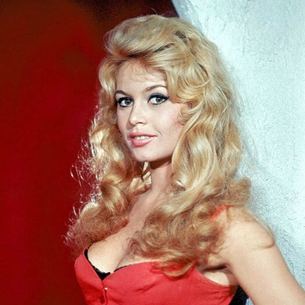 Famous Celebrity BRIGITTE BARDOT Glossy 8x10 or 11x14 Photo Model Print Hollywood Actress Poster