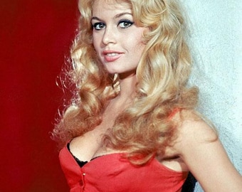 Famous Celebrity BRIGITTE BARDOT Glossy 8x10 or 11x14 Photo Model Print Hollywood Actress Poster