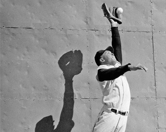 Baseball Legend WILLIE MAYS Glossy 8x10 or 11x14 Photo New York Giants Print Spring Training Poster World Series Photograph