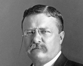 26th President THEODORE TEDDY ROOSEVELT Glossy 8x10 or 11x14 Photo Print United States Poster