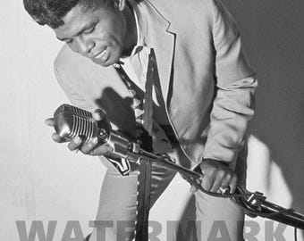 James Brown 8x10 Glossy Concert Photo, Godfather of Soul Print