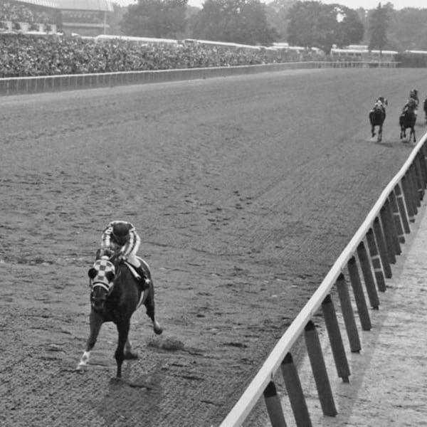 Champion Race Horse SECRETARIAT Glossy 8x10 or 11x14 Photo BELMONT STAKES Print Triple Crown Poster