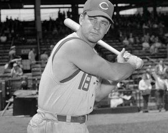 Baseball Legend TED KLUSZEWSKI Glossy 8x10 or 11x14 Photo Cincinnati Reds Print Poster